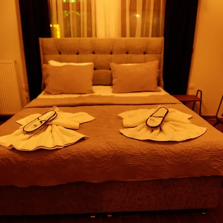 Hotel Ayaz Stone House *