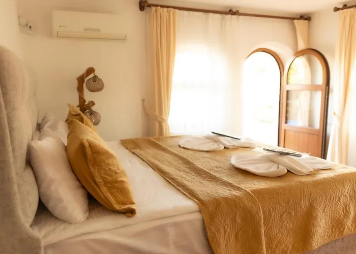 Hotel Ayaz Stone House *